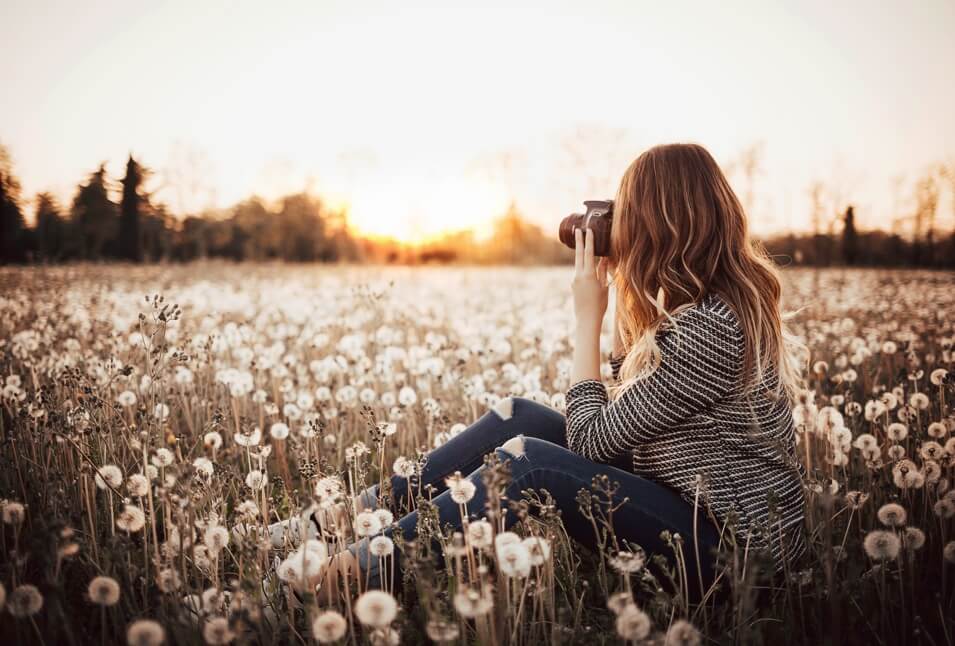 female photographer sitting in a field of dandelions taking a picture of a sunset